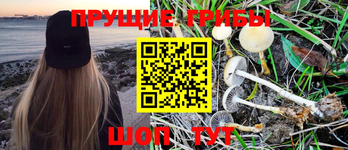 Псилоцибиновые грибы Magic Shrooms Красноярск