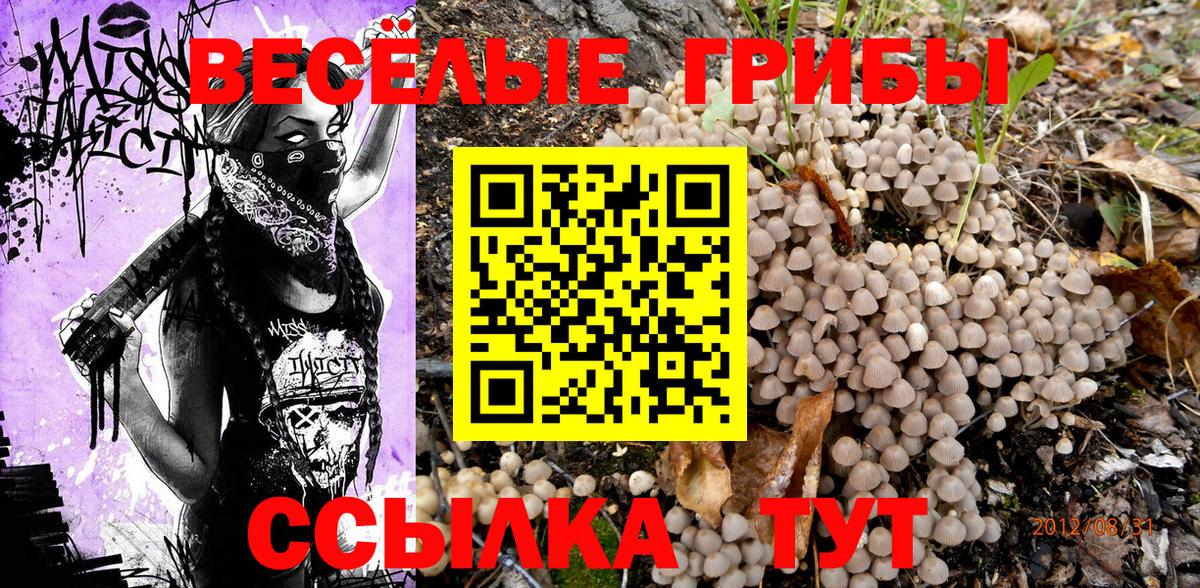 Красноярск  Псилоцибиновые грибы Psilocybe  Галлюциногенные грибы мухоморы  Вход с VPN 
